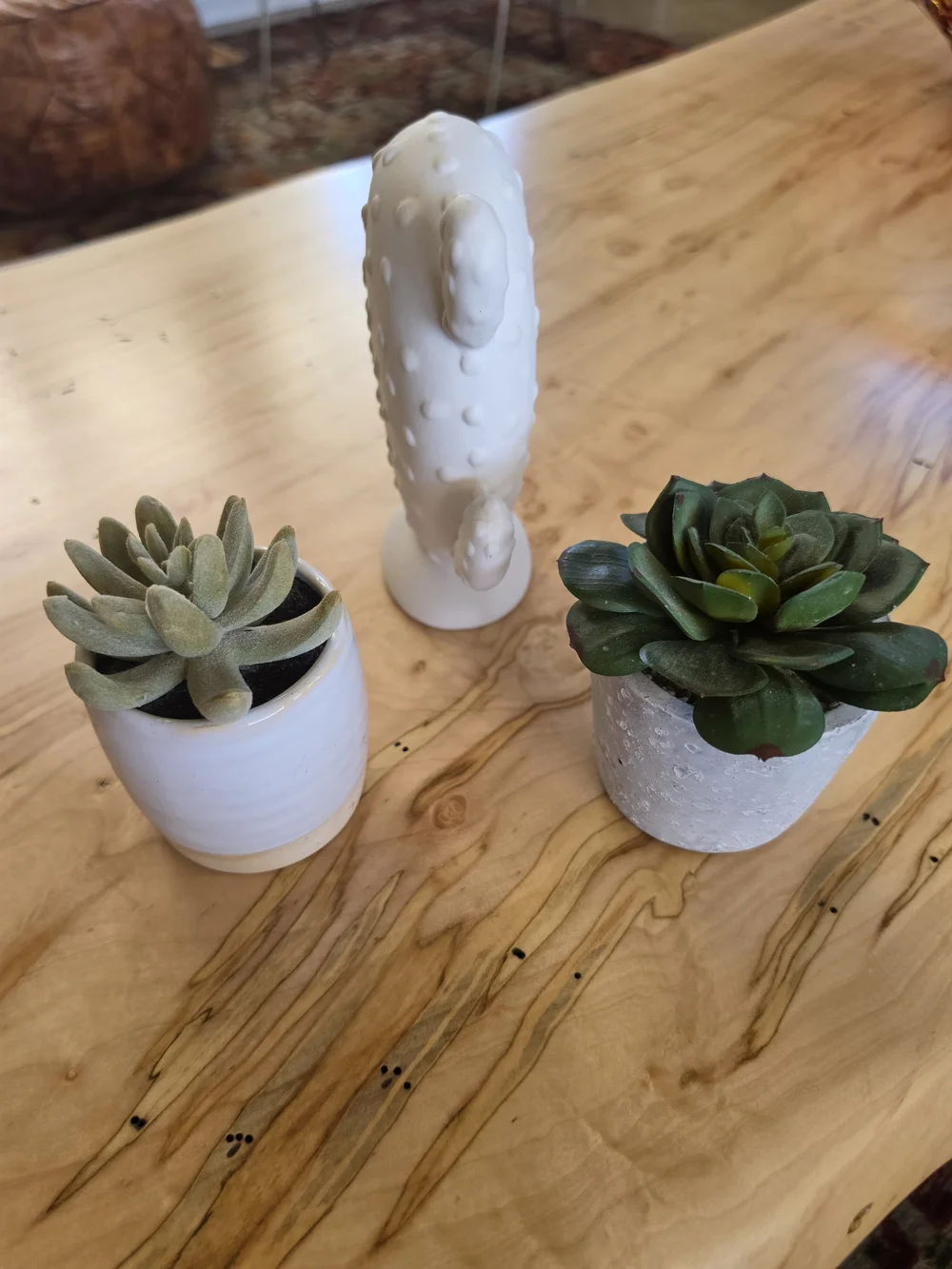White Ceramic Cactus Decor with Two Faux Succulent Pots EUC